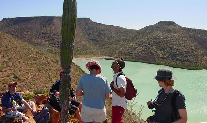 cactus-espiritu-santo-island