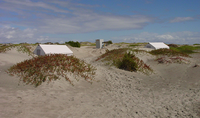 magdalena-bay-camp