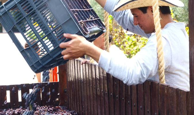 queretaro-bodegas-cote-2