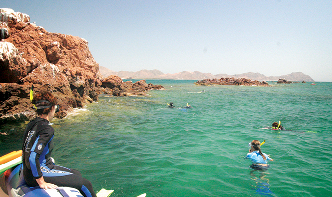 snorkelling-baja-adventure