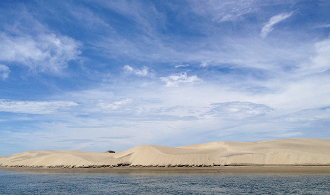 magdalena-bay-site