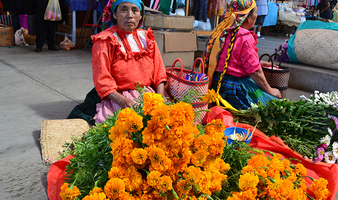 market-lady-oaxaca