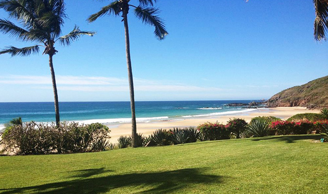 palm-trees-las-alamandas