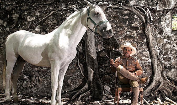 hacienda-san-gabriel-palmas-horse