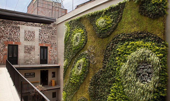 hotel-downtown-green-wall