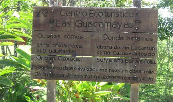 las-guacamayas-chiapas-1