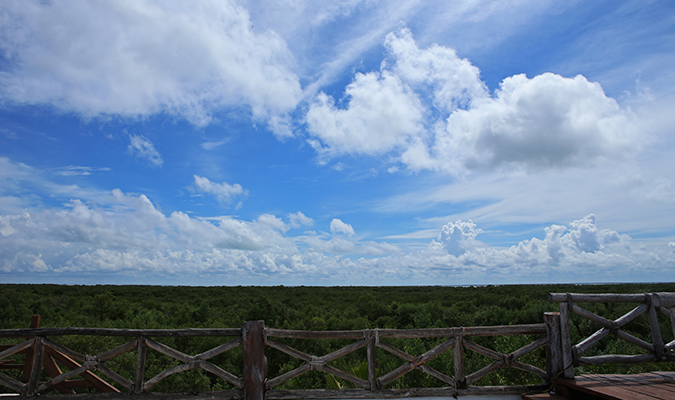 las-nubes-forest