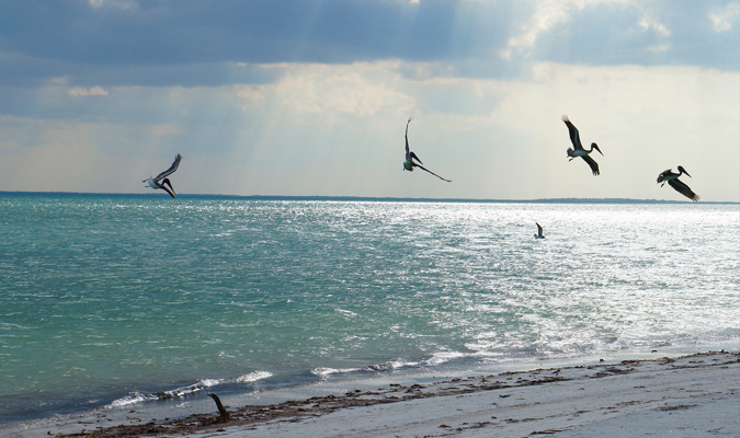 isla-holbox-3