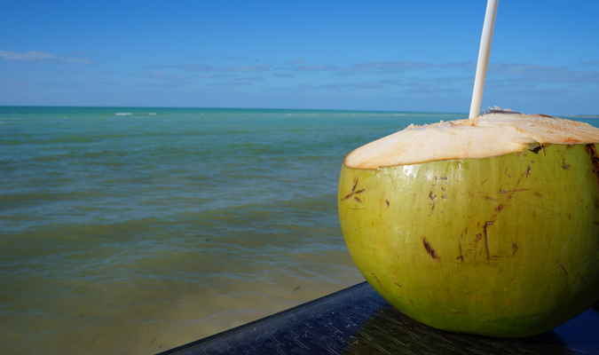 isla-holbox-coco-loco