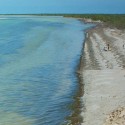 isla-holbox-header