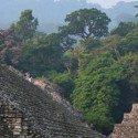 palenque-header