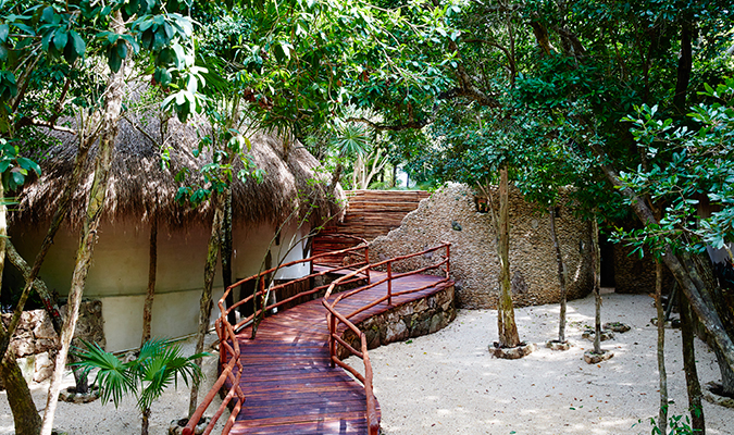 casita-jungle-wood-path