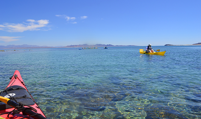 kayak-baja