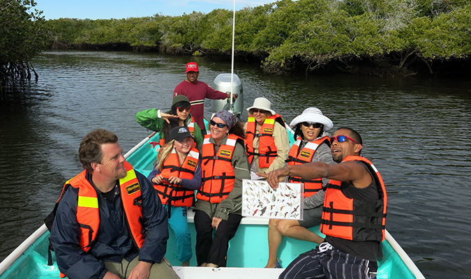 mangrove-birdwatching-red-baja