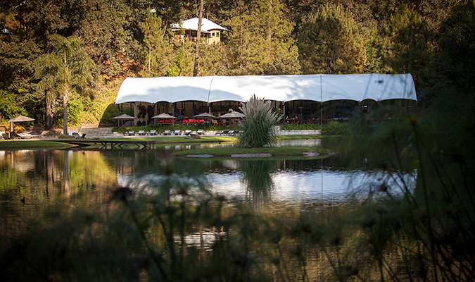 hotel-rodavento-tree-lake