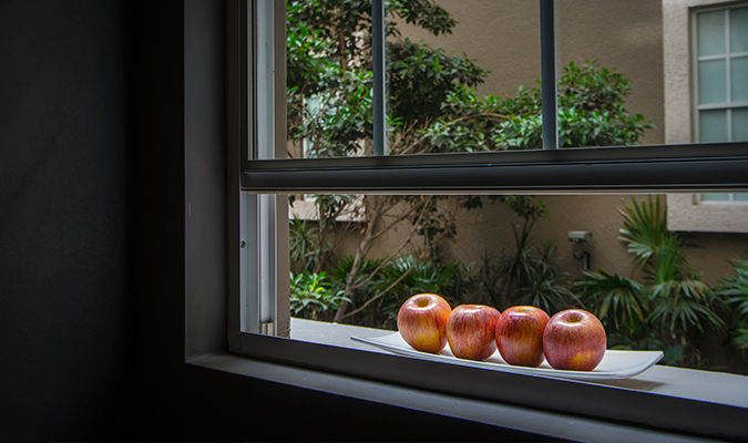 zocalo-central-window