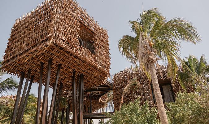 nomade-holbox-tree-houses