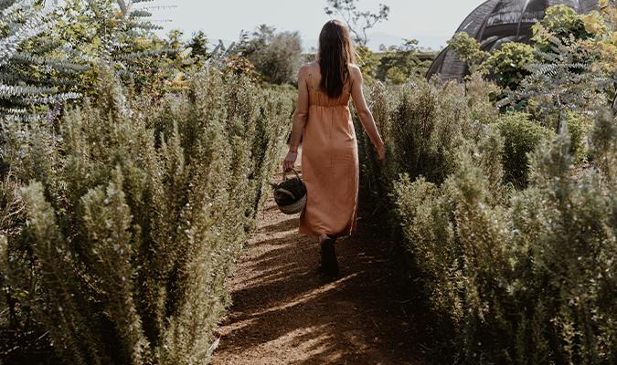 rancho-pescadero-garden